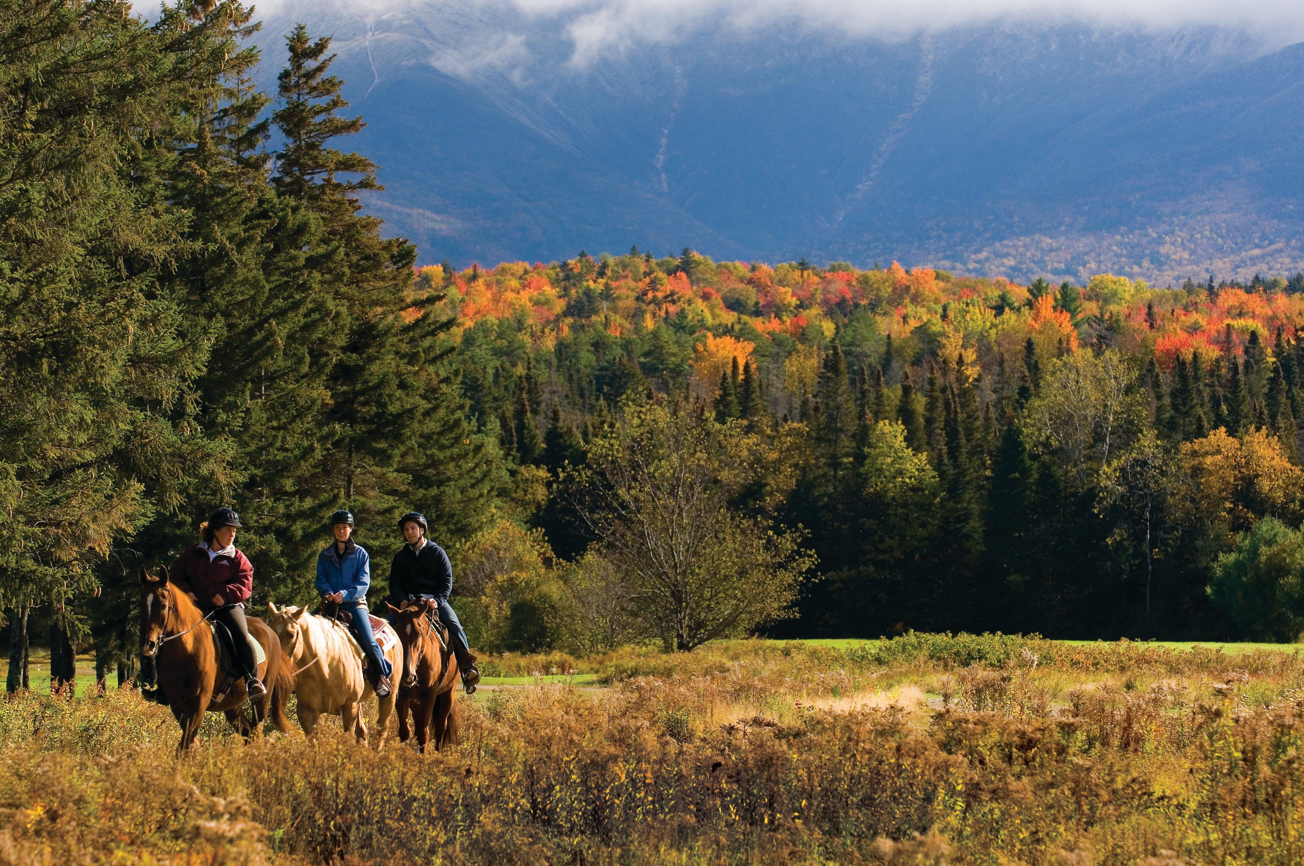 Omni Mount Washington Resort & Spa Бреттон-Вудс Экстерьер фото